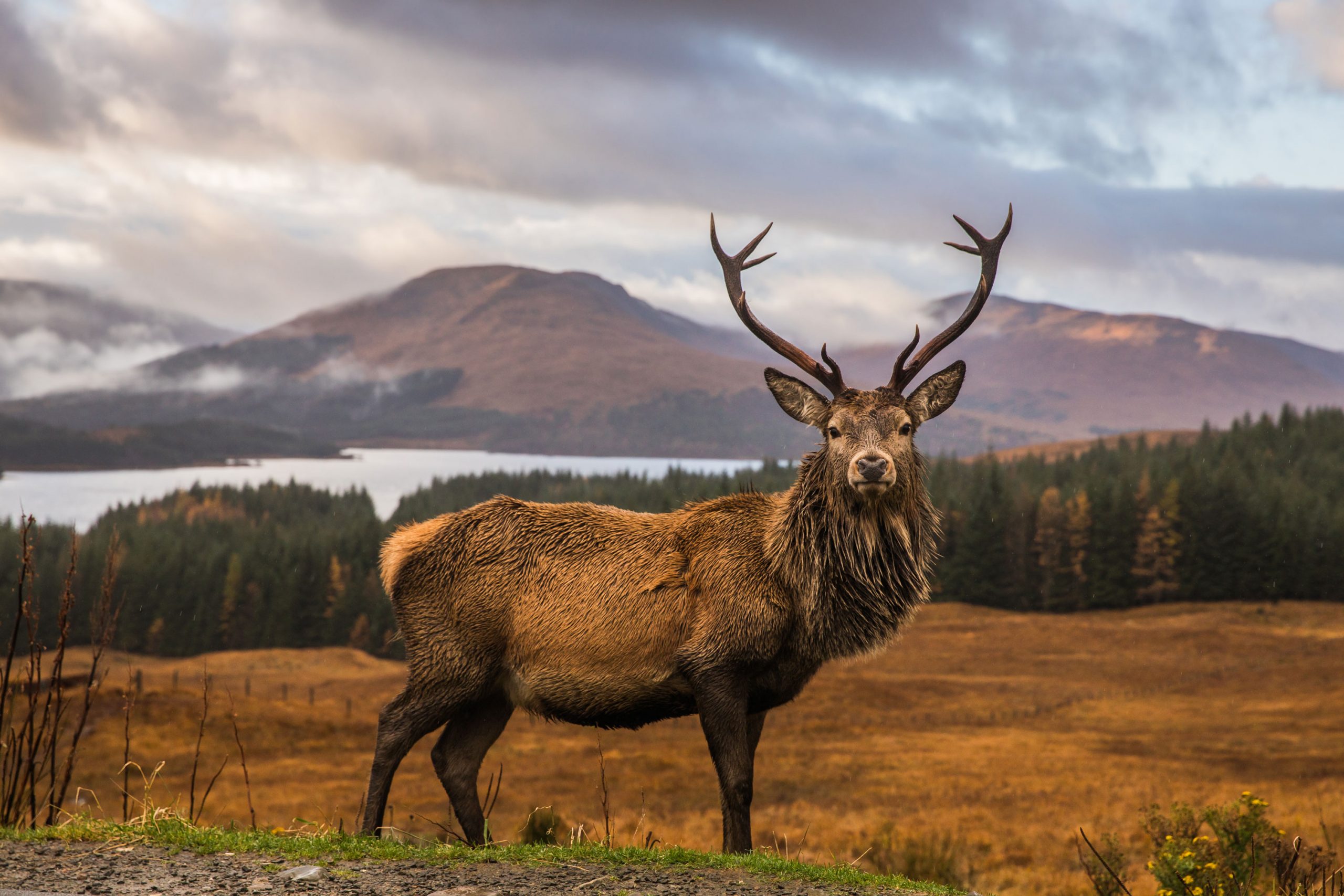 A Highland Fling | Luxury Escape in northern Scotland