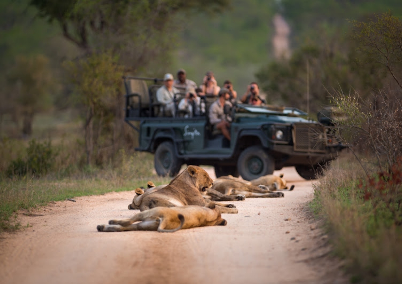Safari in Lebombo